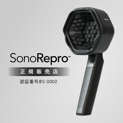【正規販売店/送料無料 】SonoRepro ソノリプロ PDS1010 アンファー