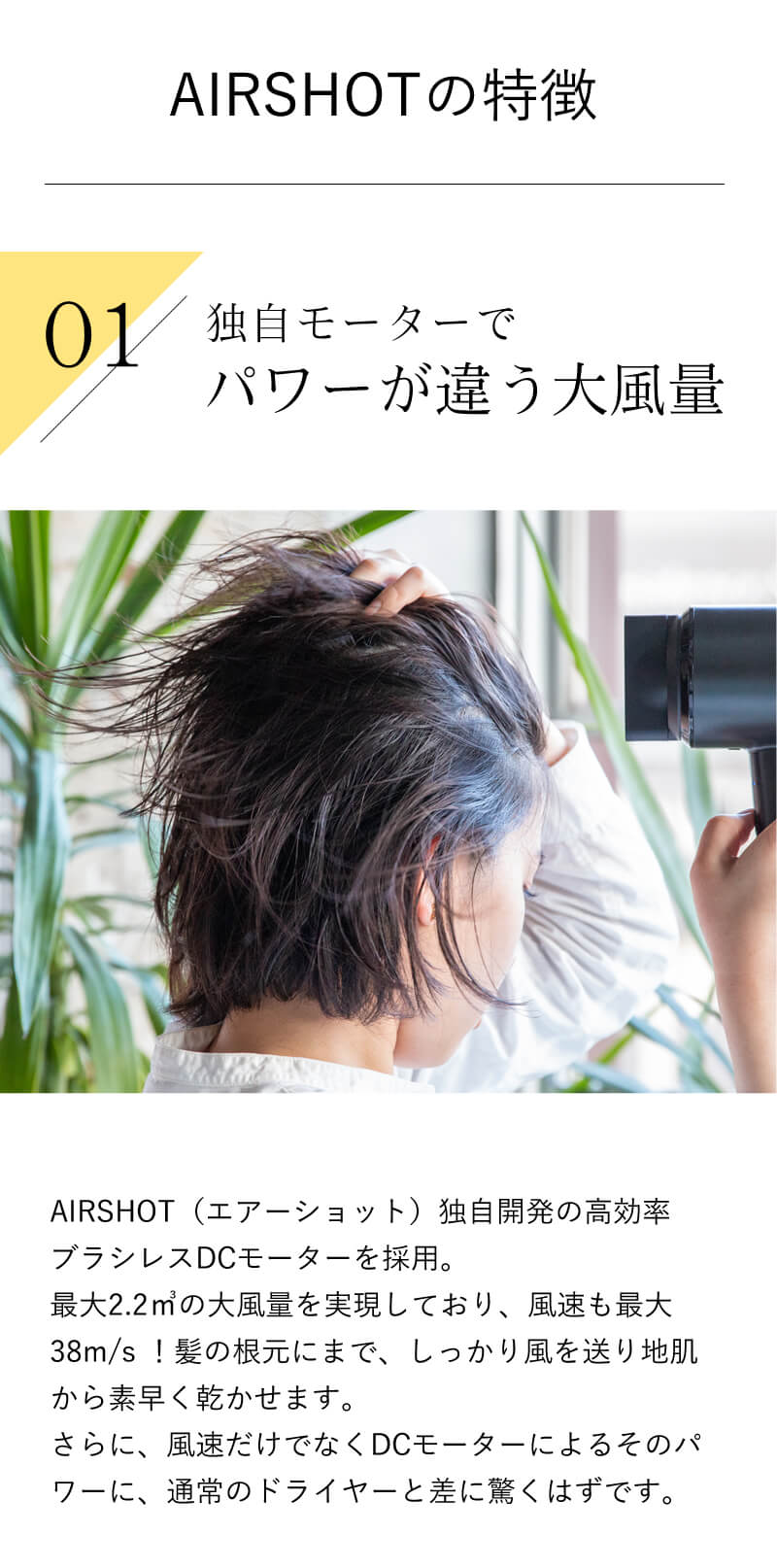 速乾ツヤ髪ドライヤー　AIRSHOT エアーショット