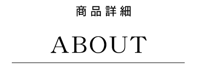 ホリスティックキュア ブロードライヤー　商品詳細