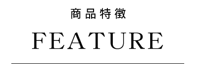 ホリスティックキュア ブロードライヤー　商品特徴